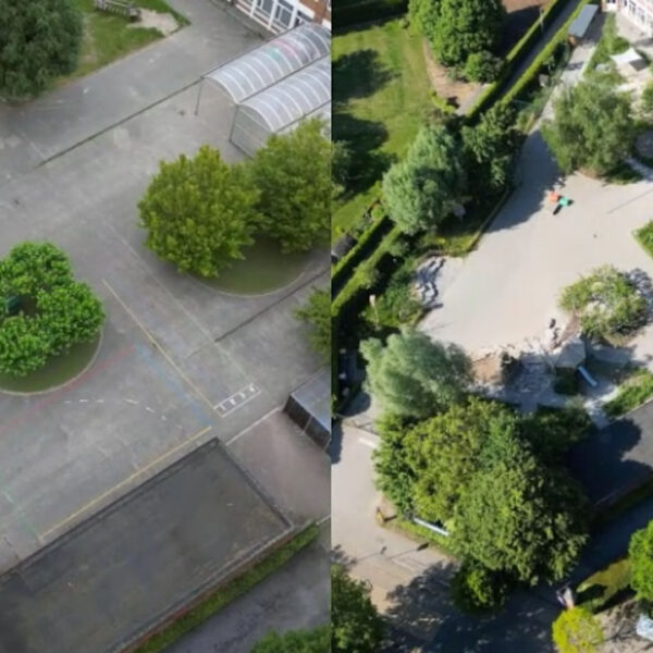 Vergroening speelplaats: het resultaat!